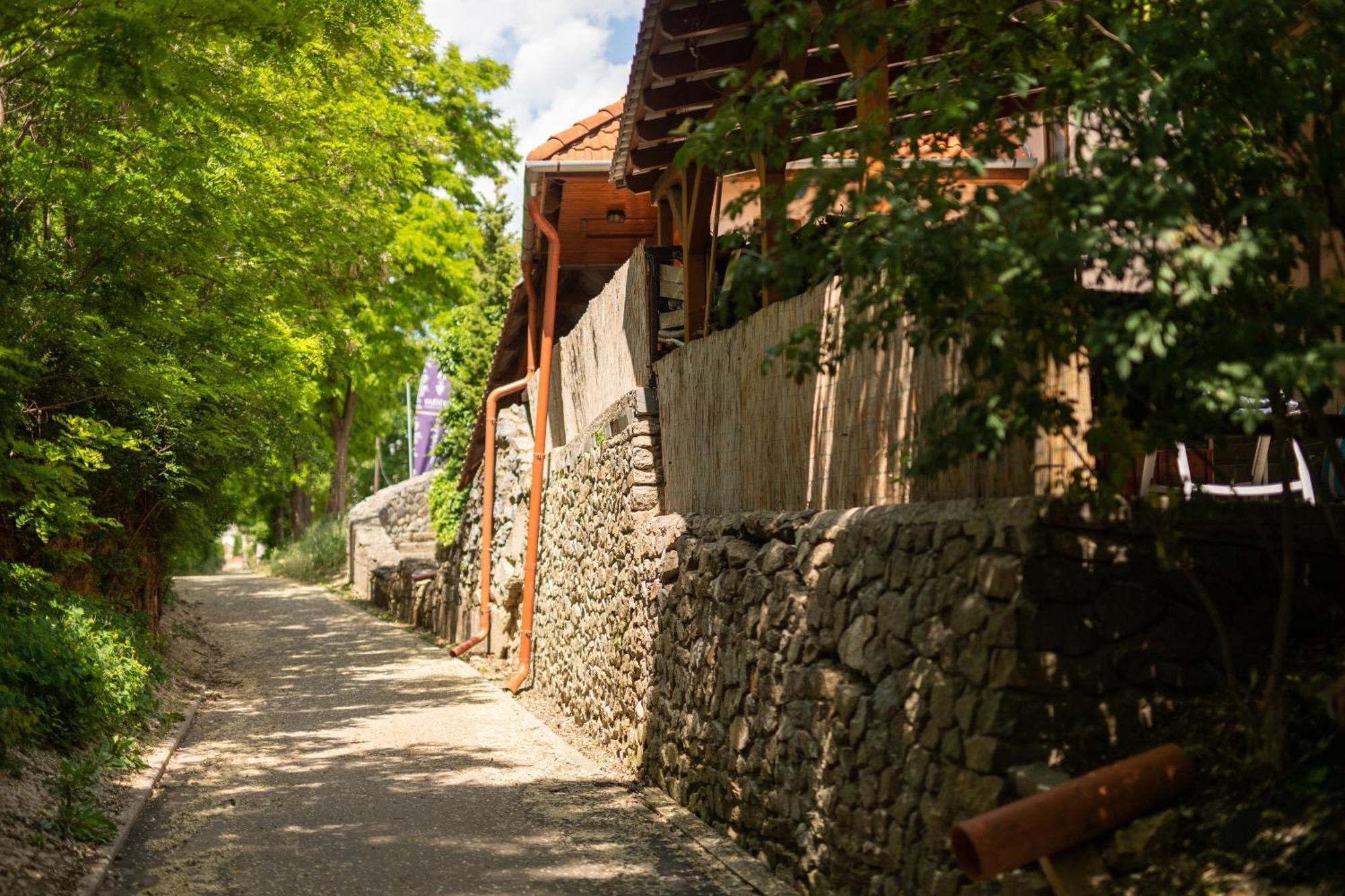 Penzion Nechorka Prušánky エクステリア 写真